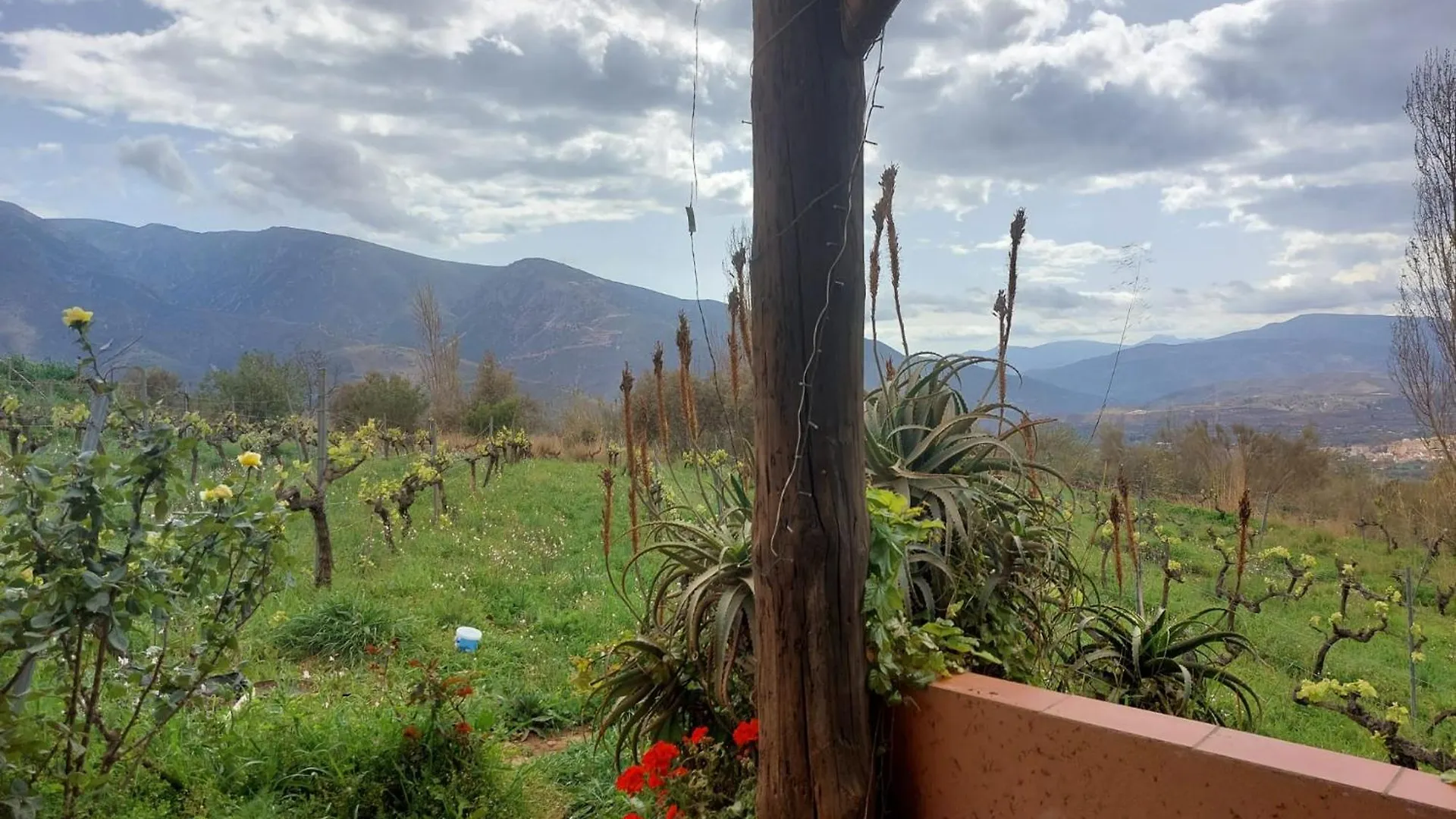 Cortijo El Cerrillo Guest House Granada 0*,  Spain